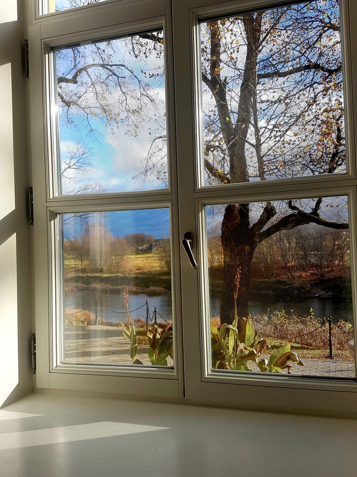 Window