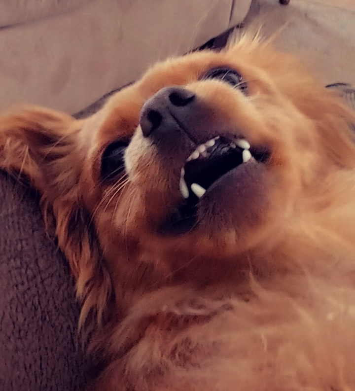 how ya doing