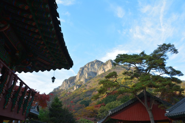 풍경이미지