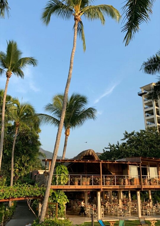 Restaurant at the beach