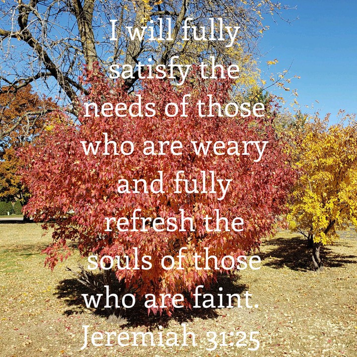 Jeremiah 31:25