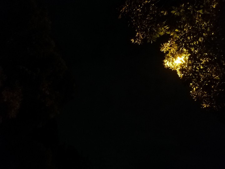 OneFineNight