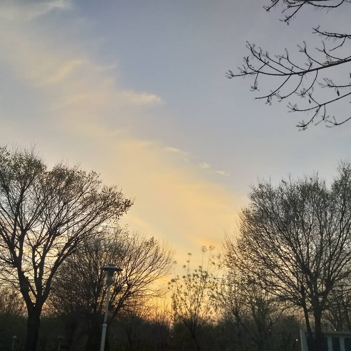 yesteday's sun setting in the park