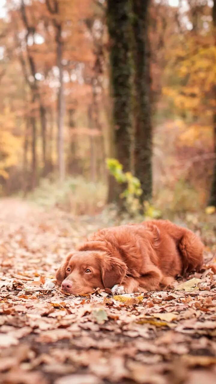 alone