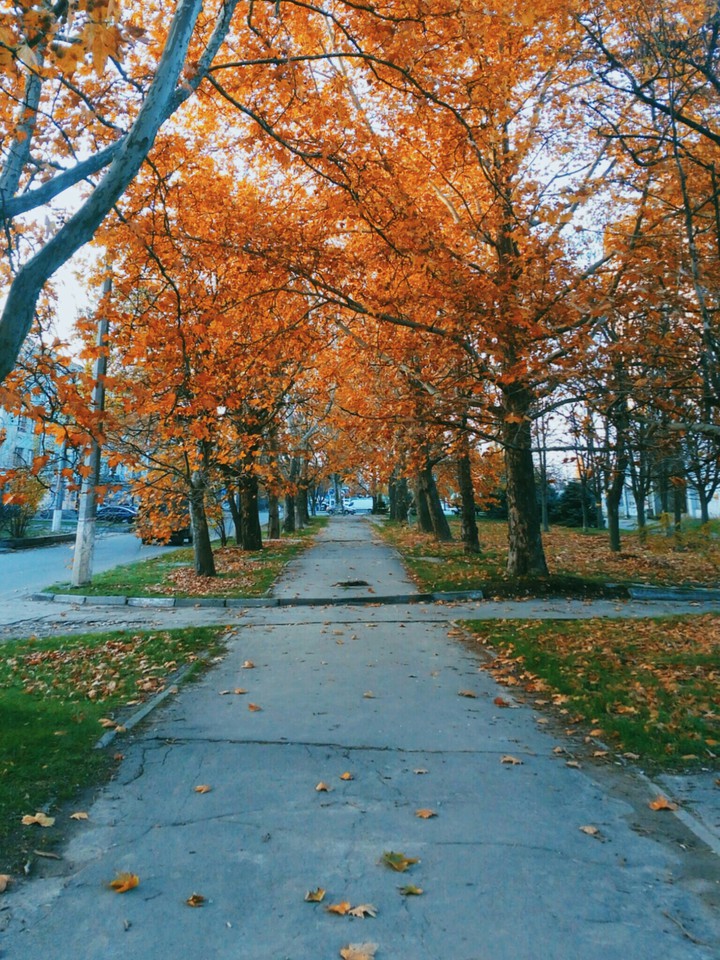 осень
