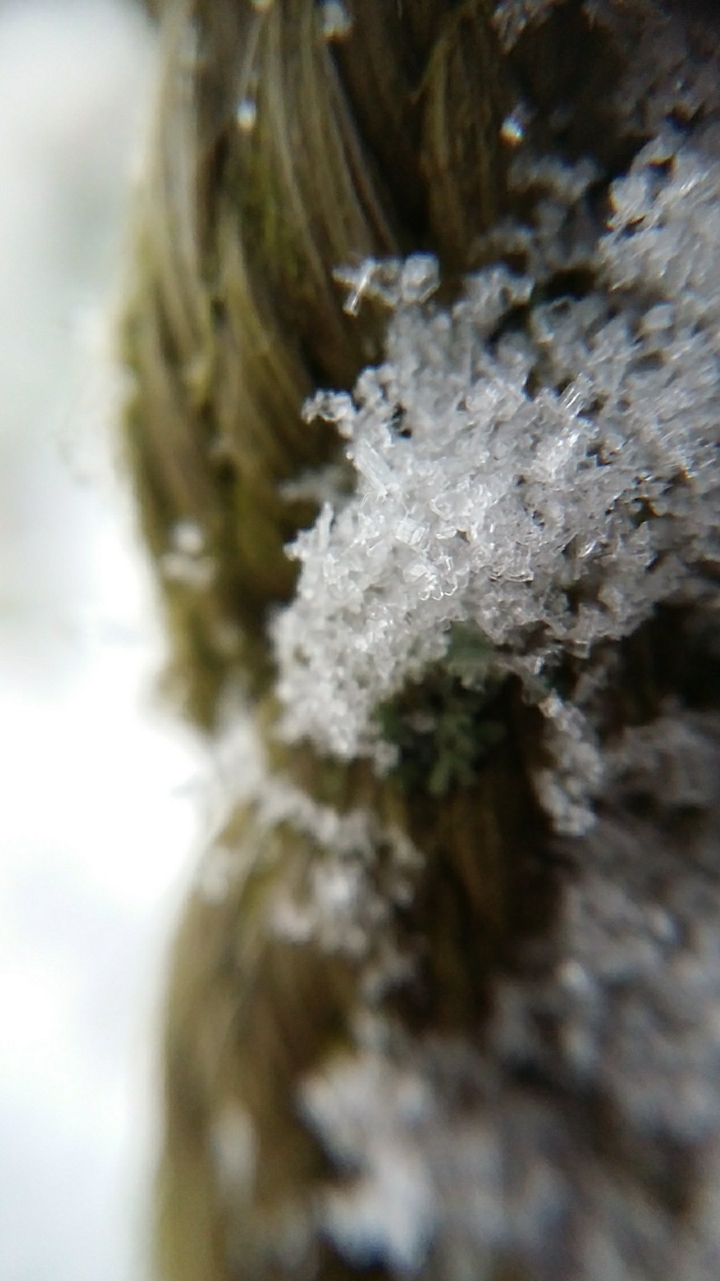 Snowy rope