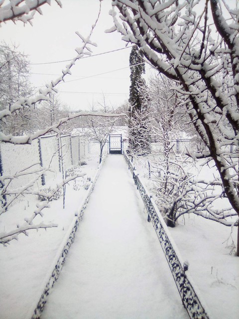 Winter