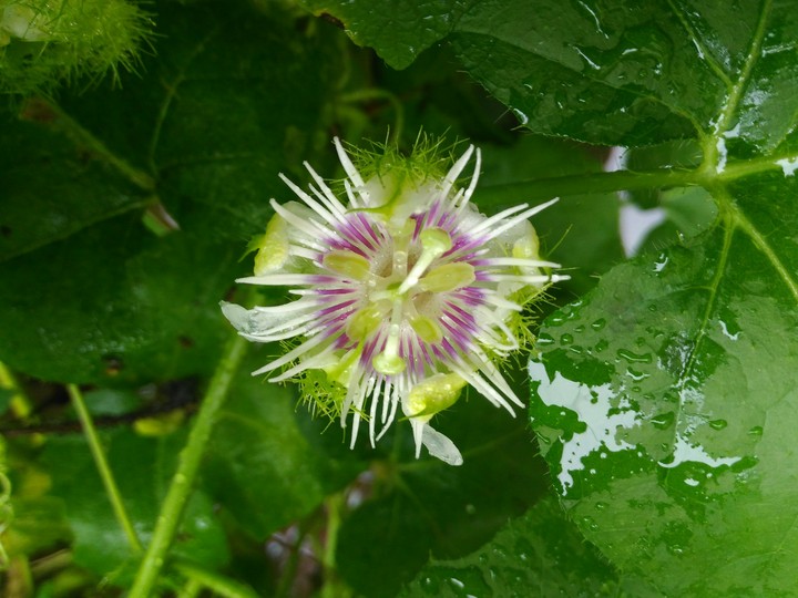 beautiful nature