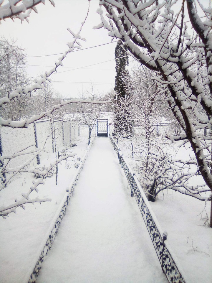 Winter