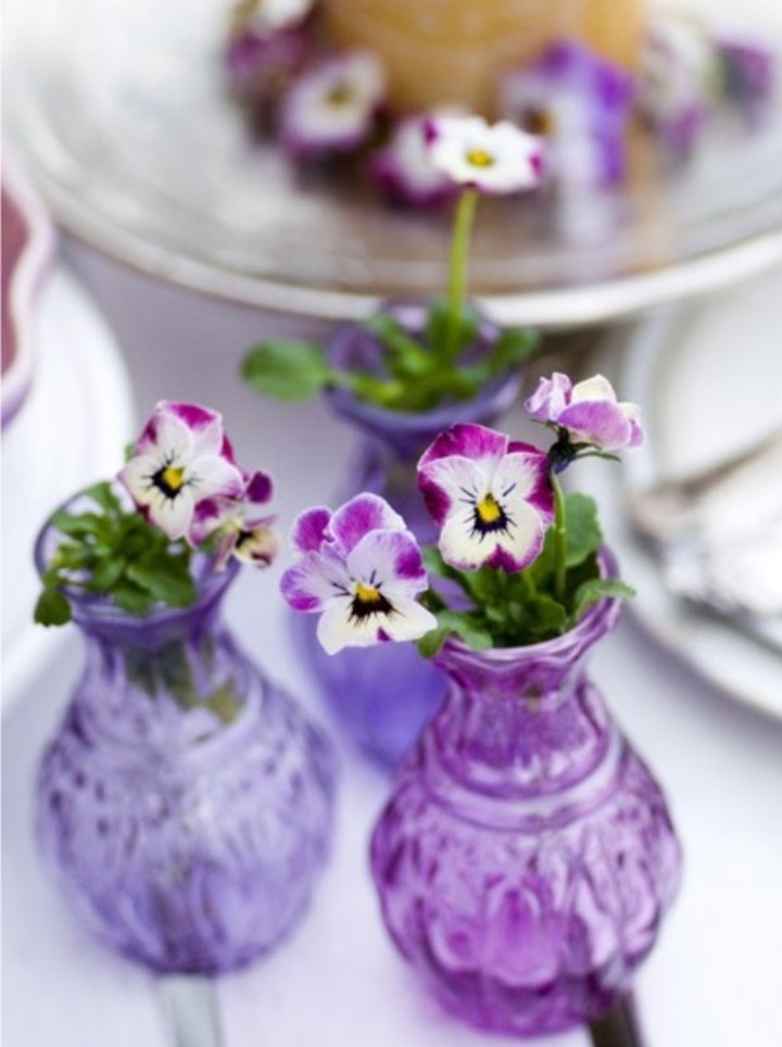 violet