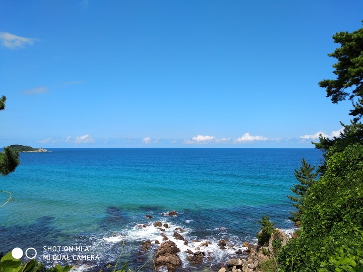 Sea