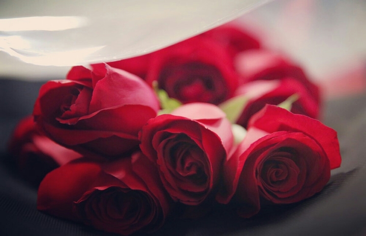 for uu... hamza