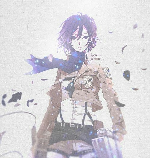 Mikasa