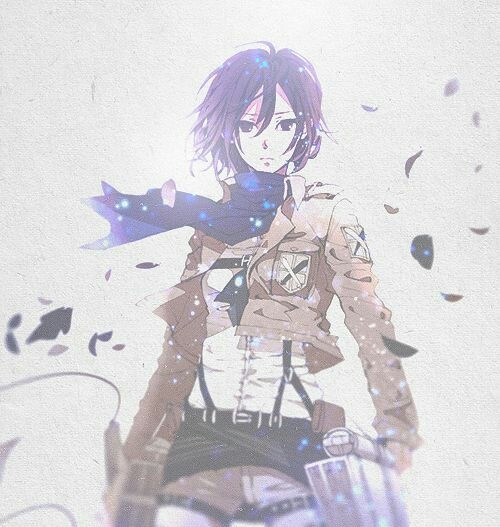 Mikasa