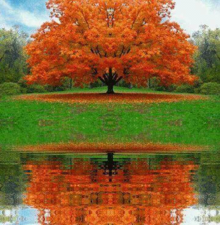 paisajes