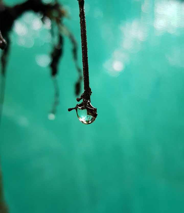 Rain Bulb