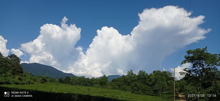 Cloud