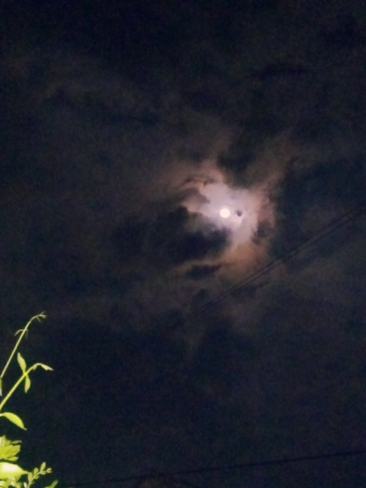 luna 