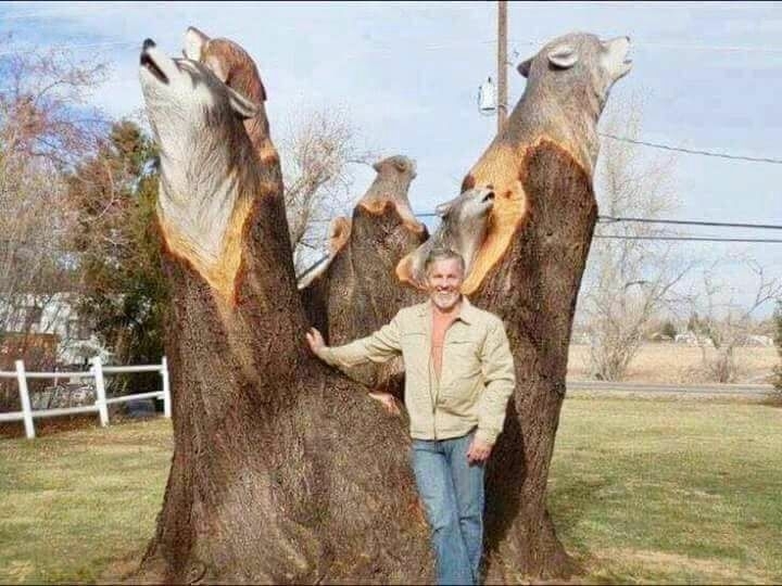 master carving