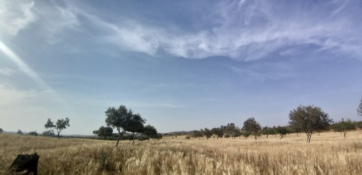 Blue Sky