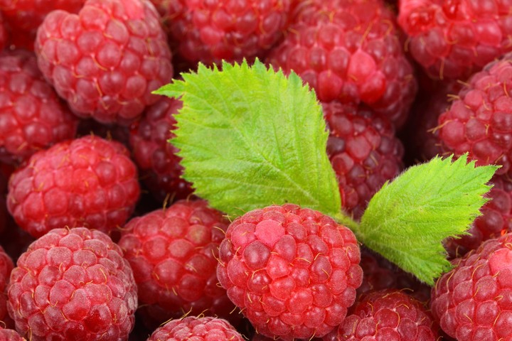 berries