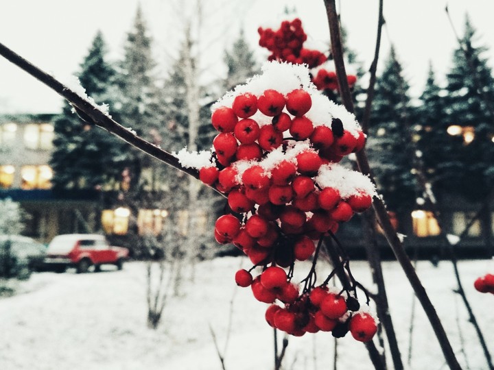 first snow
