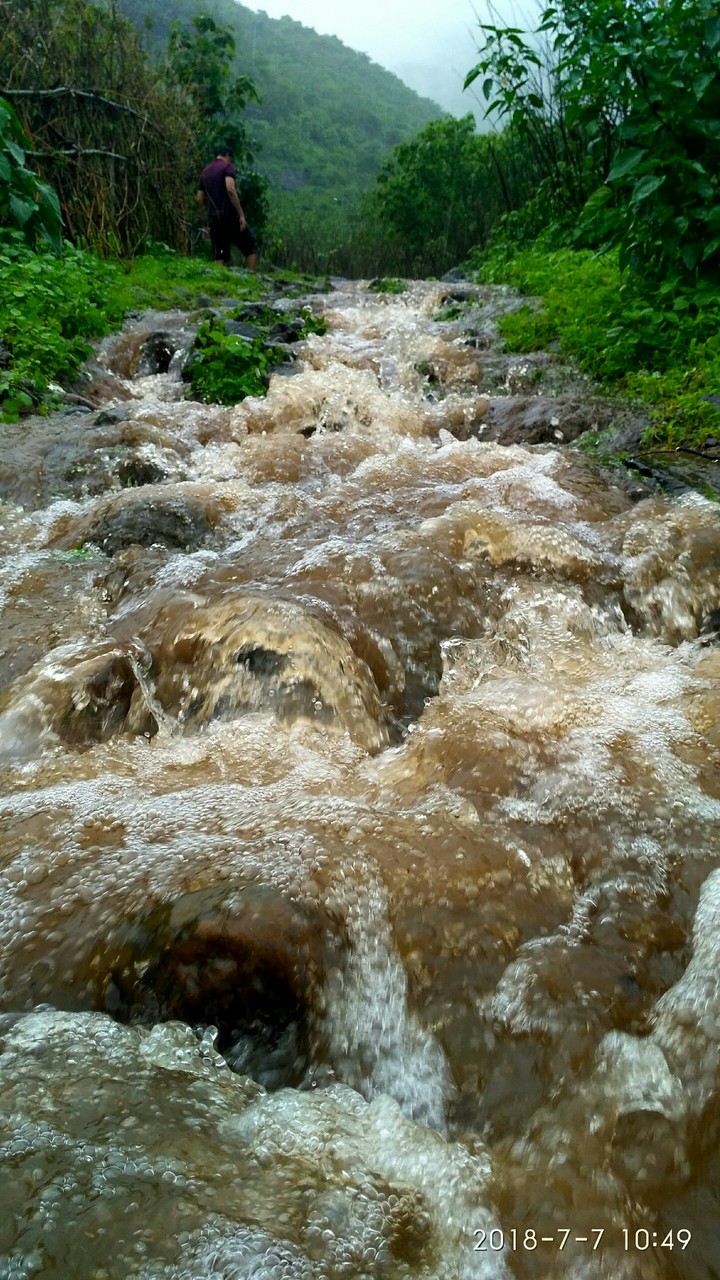 nature at its best