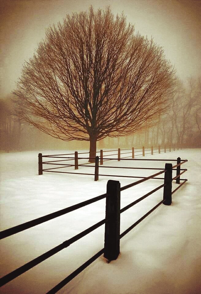 winter