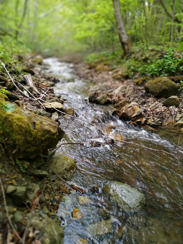 #nature