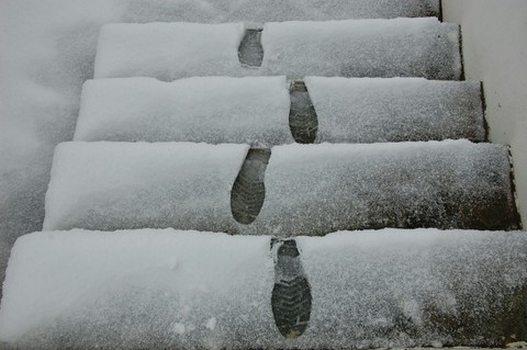 Snow Prints
