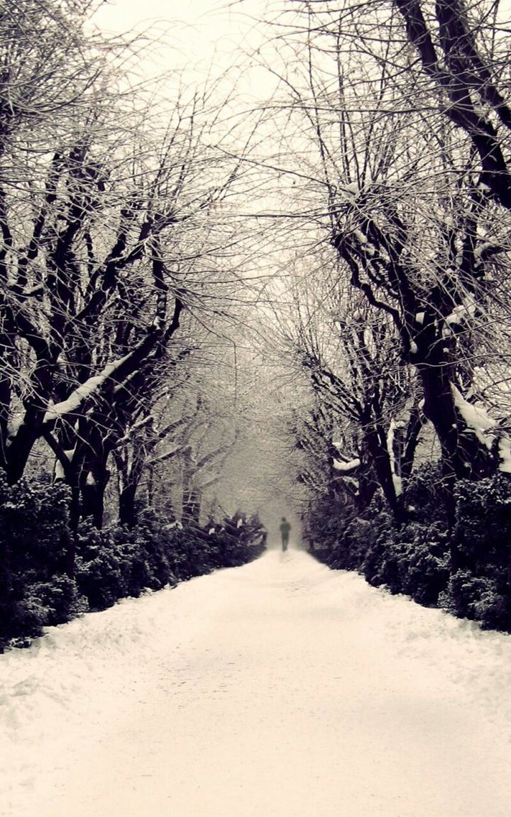 Winter Road