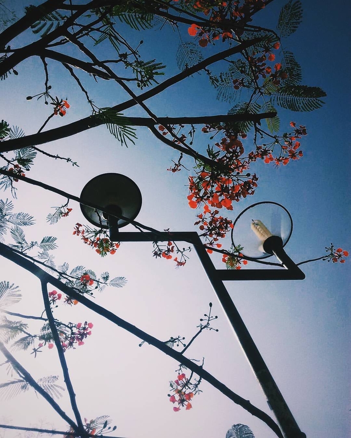 street lights
