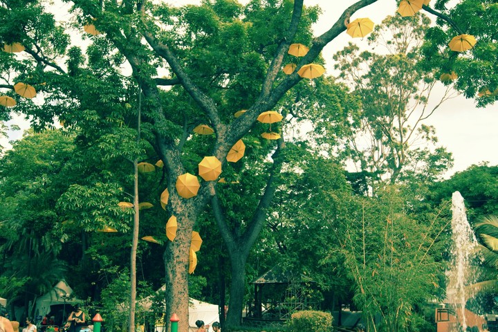 parapluie au ciel
