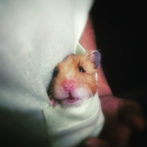He is love