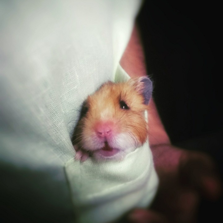 He is love 
