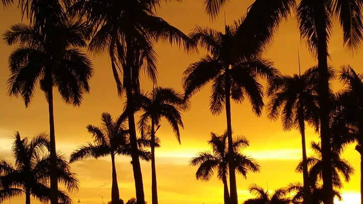 sunset