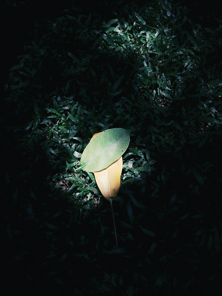 light in the dark.