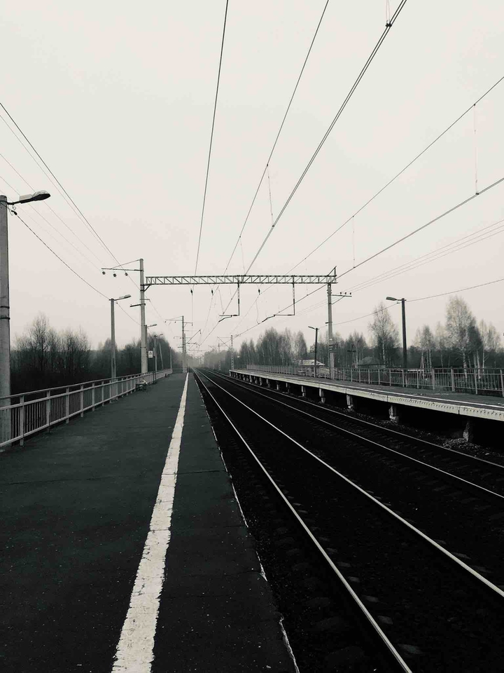 grey color of life
