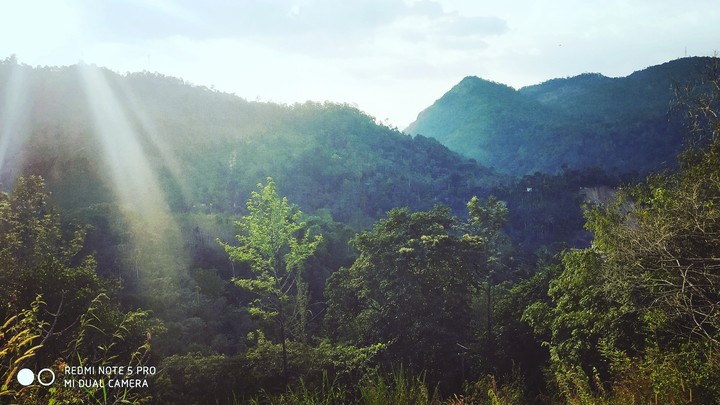 NATURE