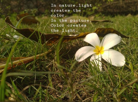 white flower