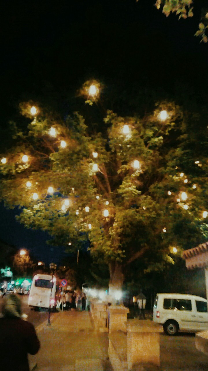 susleme agac