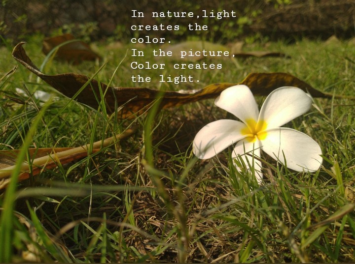 white flower