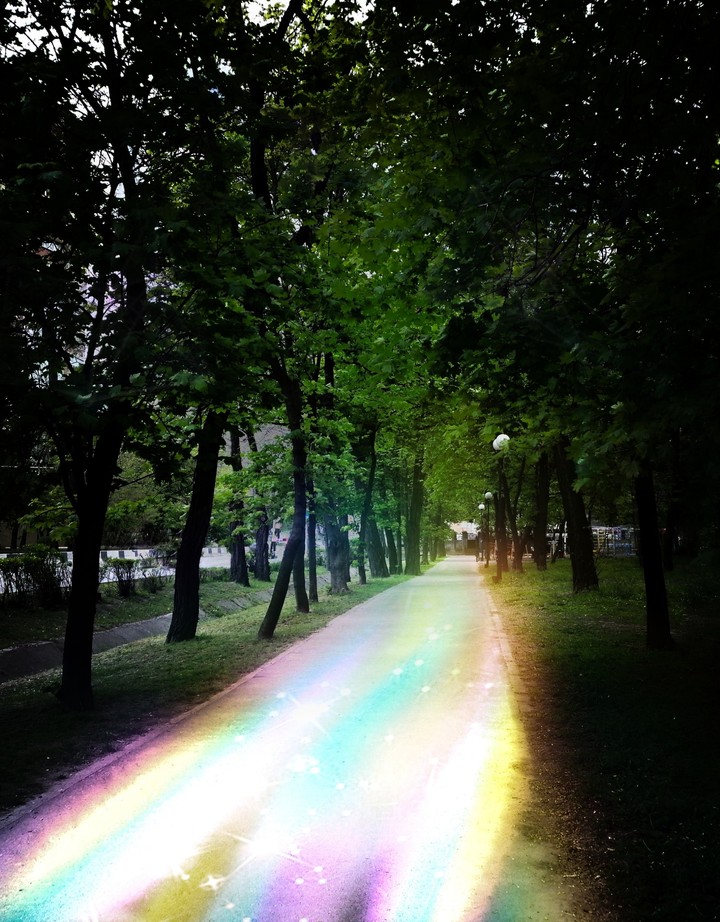 Дорога