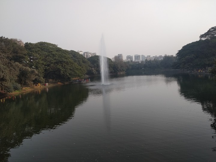 nature