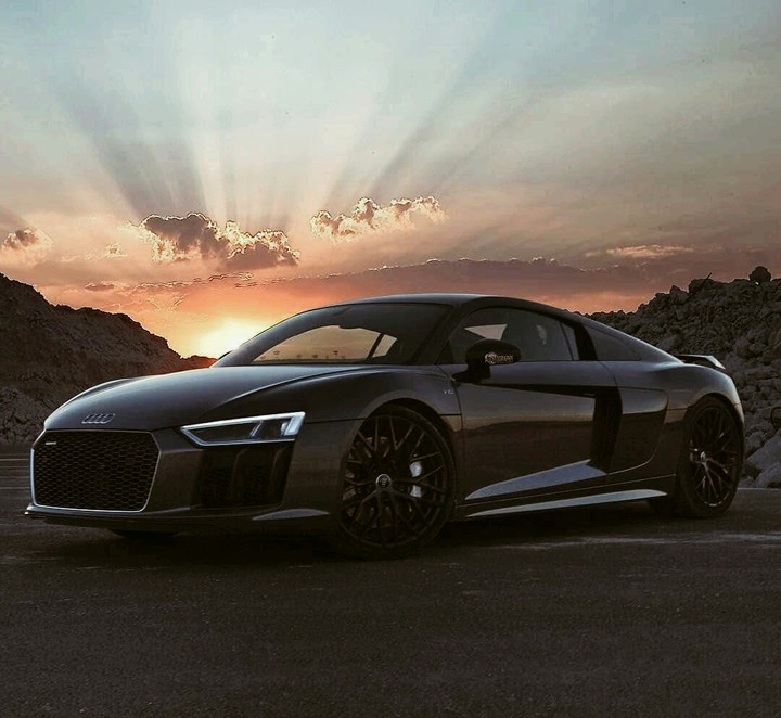 dream