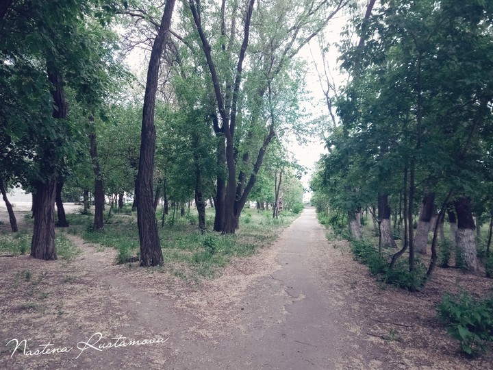 by Nastena