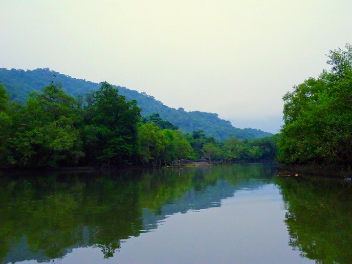Green Goa