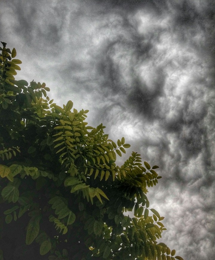 Rain
