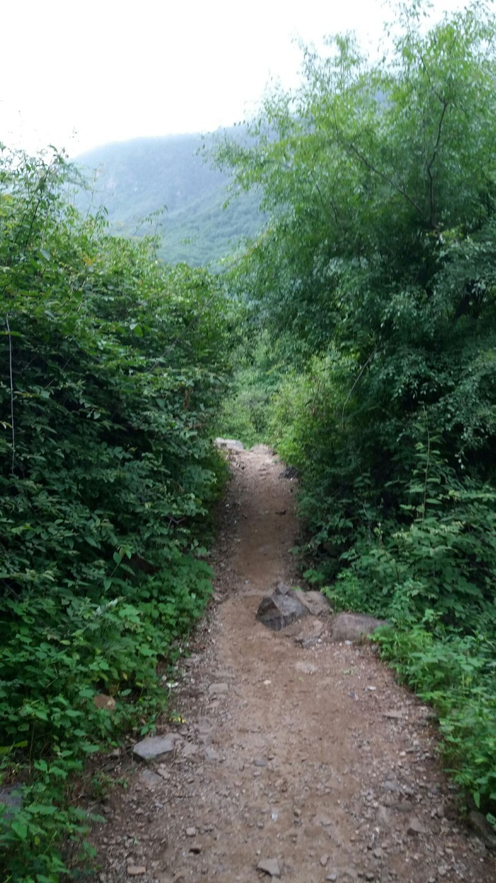 walkway