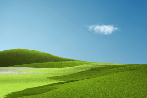 sfondi Field, plain